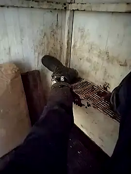 VASKOS178 online show from December 2024 11:29:01 AM