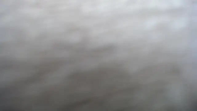 DAPHNE doll online show from September 2025 03:23:02 PM