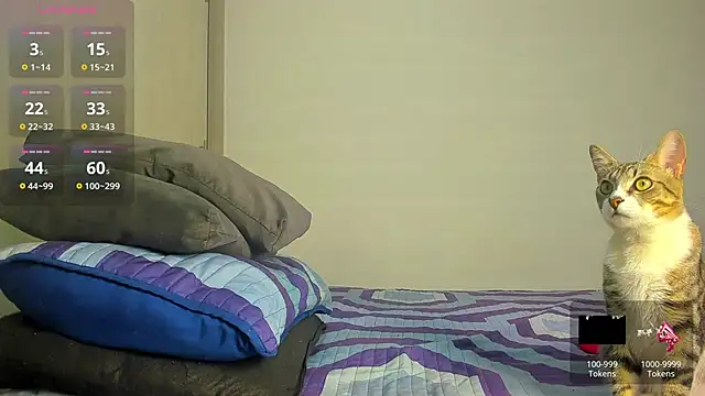 caroline tovar online show from November 2025 01:30:02 AM