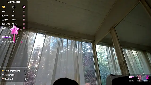 PixieLand online show from January 2025 11:41:01 AM