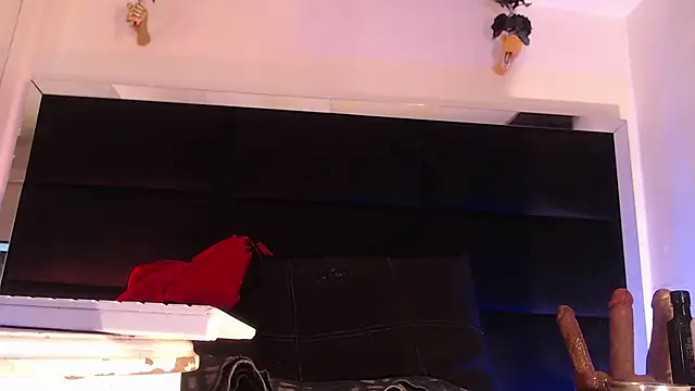 StefyFerrer online show from July 2026 03:41:02 AM