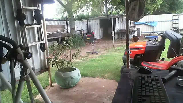 herbie010666 online show from February 2026 05:41:01 AM