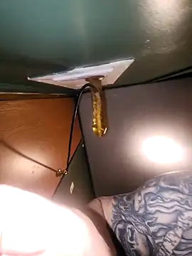 Snapshot of Loosegoose90 chatting on February 2026 05:29:01 AM Loosegoose90 online show from February 2026 05:29:01 AM