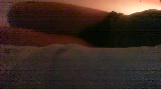 patrasdick94 online show from February 2025 03:03:01 PM