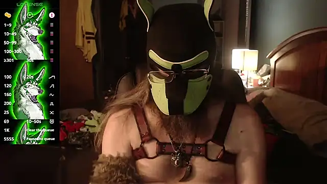 kinkywolf429 online show from July 2026 03:00:02 AM