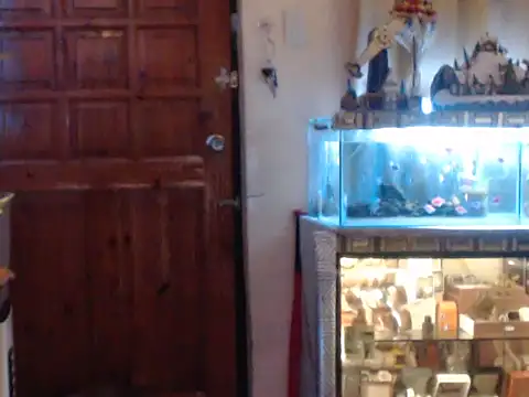 XratedTransGoddess online show from March 2025 09:56:01 AM