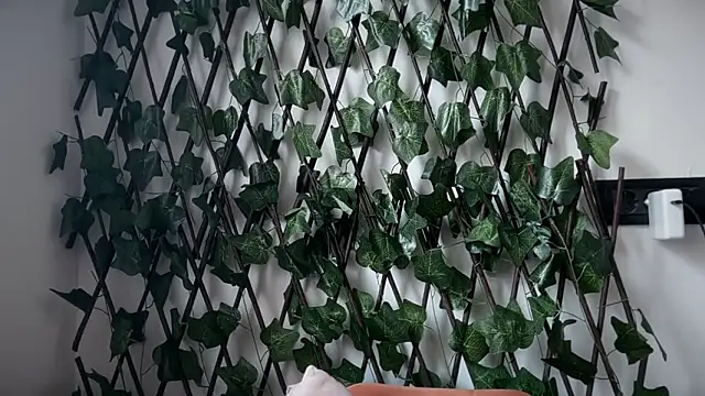 karo123421 online show from February 2026 08:29:01 AM