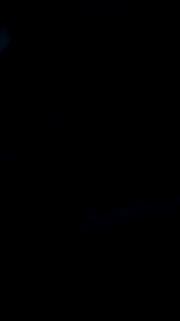 DauergeilMD online show from January 2025 01:43:02 AM