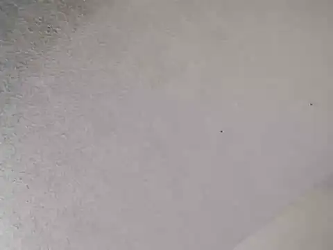 247Srokin online show from January 2026 04:33:02 PM