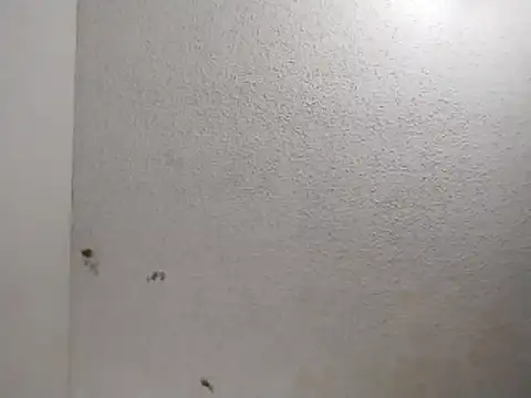 247Srokin online show from April 2026 11:00:01 AM