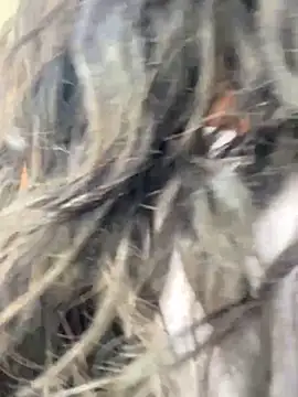 Snapshot of bea3liz chatting on December 2024 05:52:02 PM bea3liz online show from December 2024 05:52:02 PM