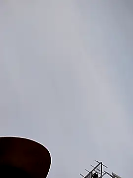 Daddy hook online show from December 2024 03:15:02 PM