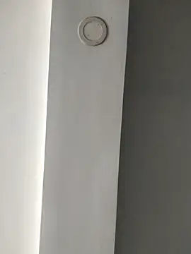 ElsecretodeBruno online show from February 2025 06:15:02 PM