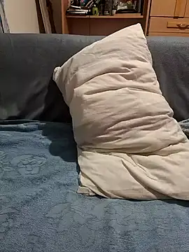 peti 19 online show from December 2024 01:05:02 PM