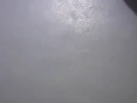 Snapshot of Forsia chatting on January 2025 03:24:02 AM Forsia online show from January 2025 03:24:02 AM