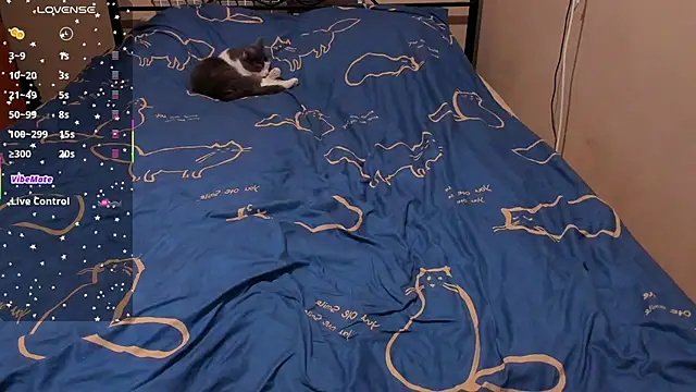 Snapshot of eva_zero chatting on February 2026 02:28:01 PM eva zero online show from February 2026 02:28:01 PM