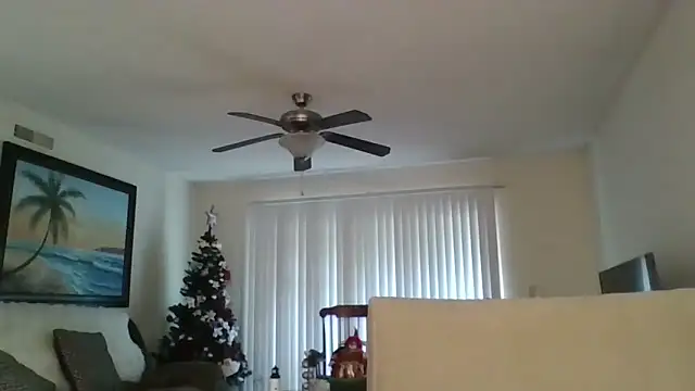 EvaRobinson online show from December 2024 05:31:02 PM