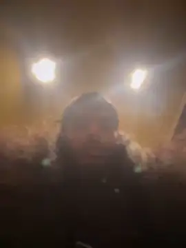 dingoding online show from December 2024 07:22:02 PM