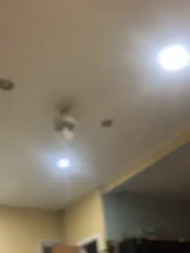 dingoding online show from February 2025 10:40:01 AM