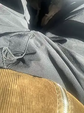 dingoding online show from February 2025 03:10:01 PM