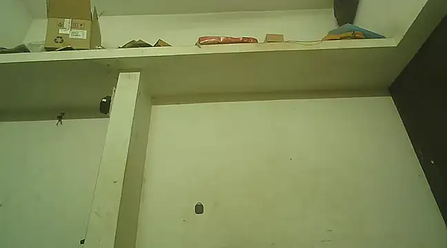 Akhilamolu the transsissy online show from January 2025 06:10:02 PM