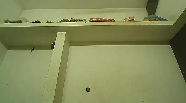 Akhilamolu the transsissy online show from February 2025 05:39:02 PM