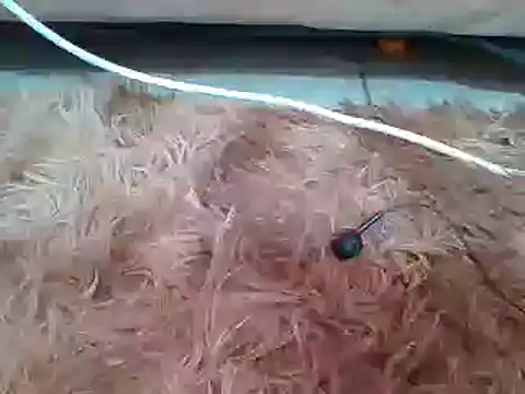 sexyjanett online show from March 2025 09:13:01 AM