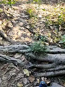 Rinku5553 online show from February 2025 07:20:01 AM