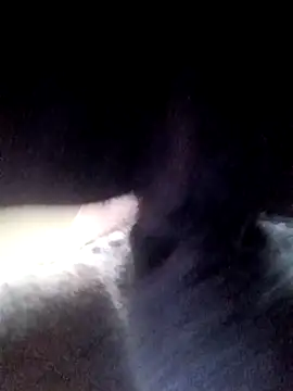 yellowwetfox online show from March 2026 01:37:01 PM