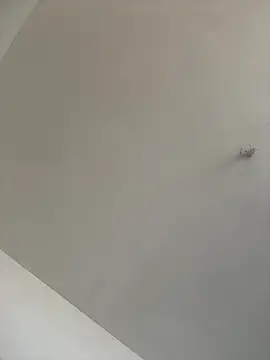 waakenda online show from January 2026 07:04:02 PM