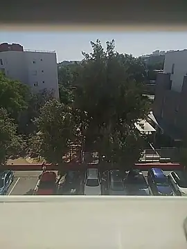manecas3132 online show from May 2026 03:53:02 PM