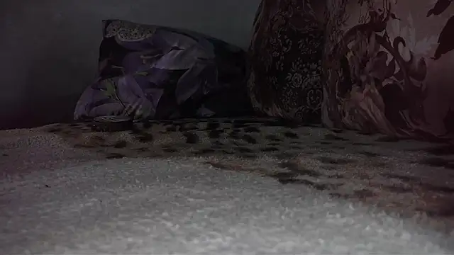 littledaddyflex online show from September 2025 03:08:01 AM