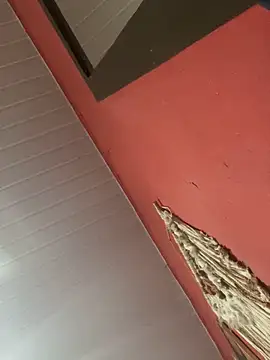 pimenta gaby online show from November 2025 11:09:02 AM