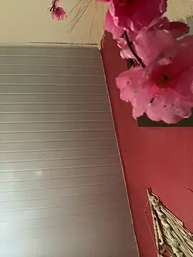 pimenta gaby online show from April 2026 03:37:01 PM