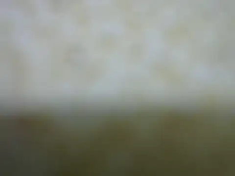 castistee online show from October 2025 10:36:01 PM