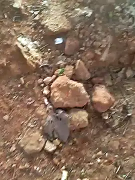 Gopal1243 online show from December 2024 02:08:02 AM