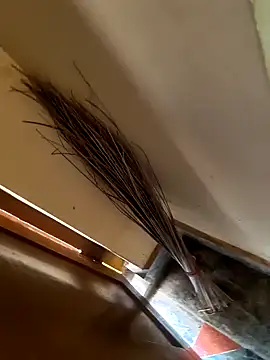 Gopal1243 online show from January 2025 03:37:01 AM