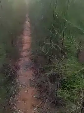 Gopal1243 online show from March 2025 01:22:01 AM