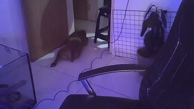 Snapshot of myamillor chatting on December 2024 01:17:01 AM myamillor online show from December 2024 01:17:01 AM