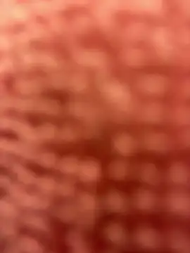 BigFineSelena online show from January 2025 03:09:02 PM