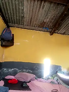 LULE37587001 online show from November 2025 03:51:02 AM