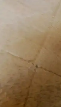 Snapshot of LULE37587001 chatting on February 2026 06:26:01 AM LULE37587001 online show from February 2026 06:26:01 AM