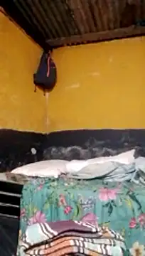 Snapshot of LULE37587001 chatting on March 2026 08:37:01 PM LULE37587001 online show from March 2026 08:37:01 PM