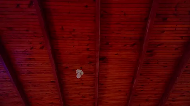 annie barozzi online show from October 2025 01:23:01 PM