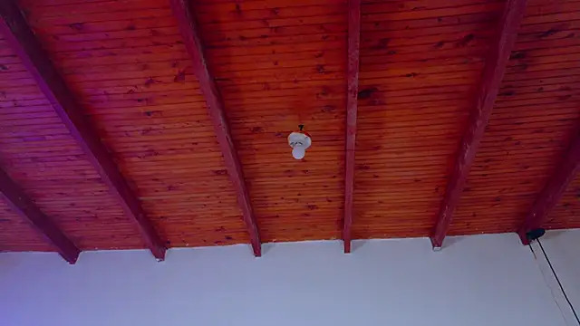 annie barozzi online show from January 2026 01:24:02 PM