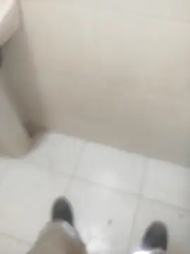 sagrado 1989 online show from March 2026 12:07:01 AM