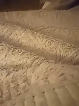 Mark Dad online show from February 2025 05:29:01 AM