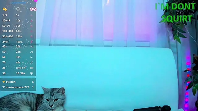 Bell a mi  online show from March 2025 05:59:02 AM