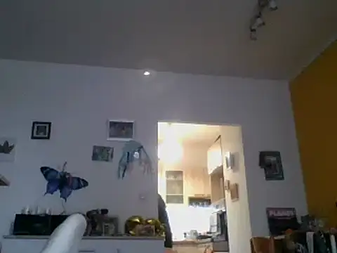 82liska online show from November 2025 11:19:01 AM