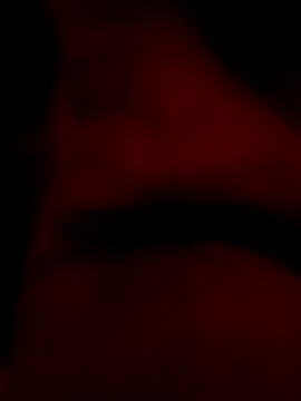 Snapshot of roccosif696 chatting on January 2025 06:46:01 PM roccosif696 online show from January 2025 06:46:01 PM